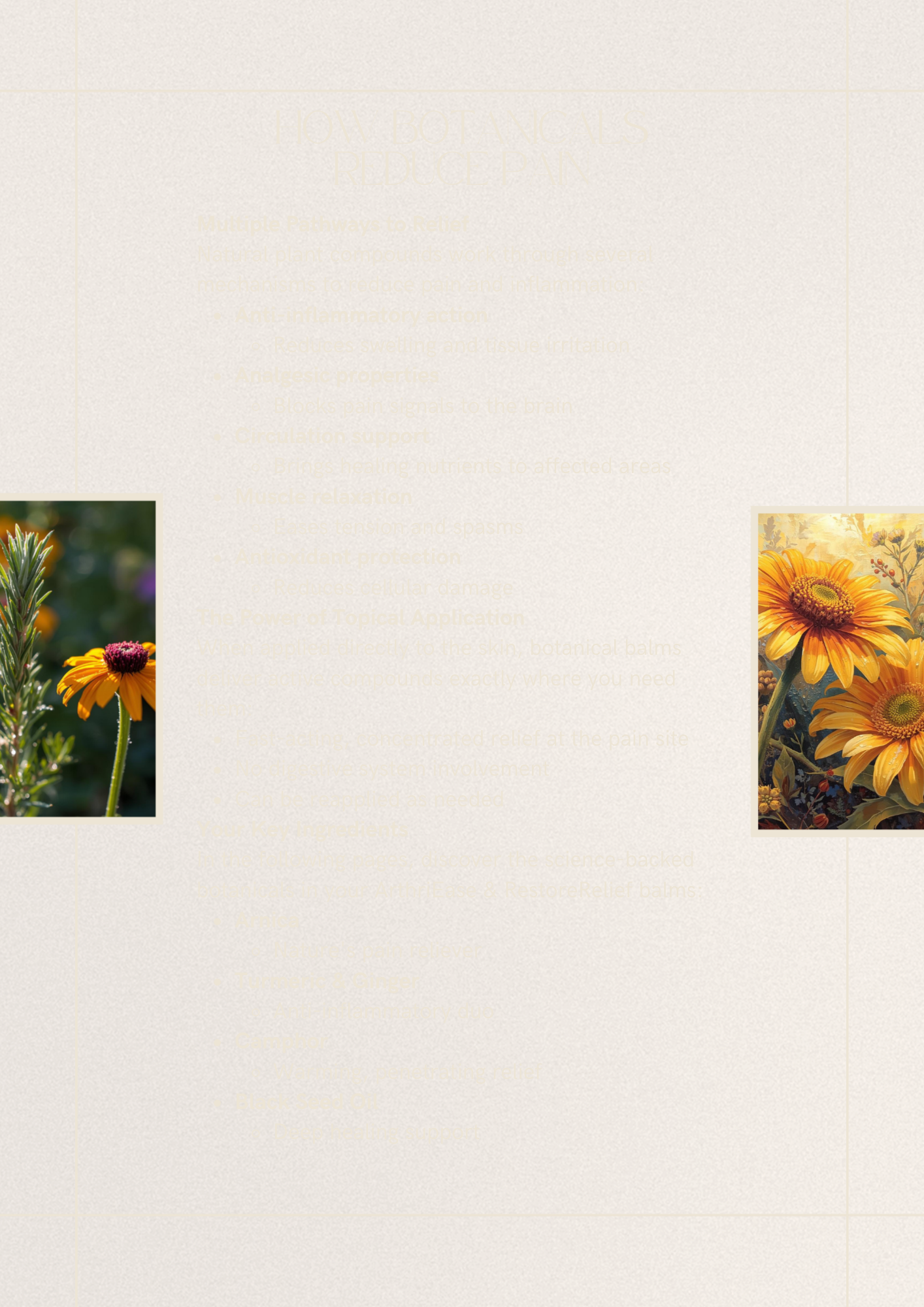 Botanical Wellness Guide: Joint & Muscle Care Education