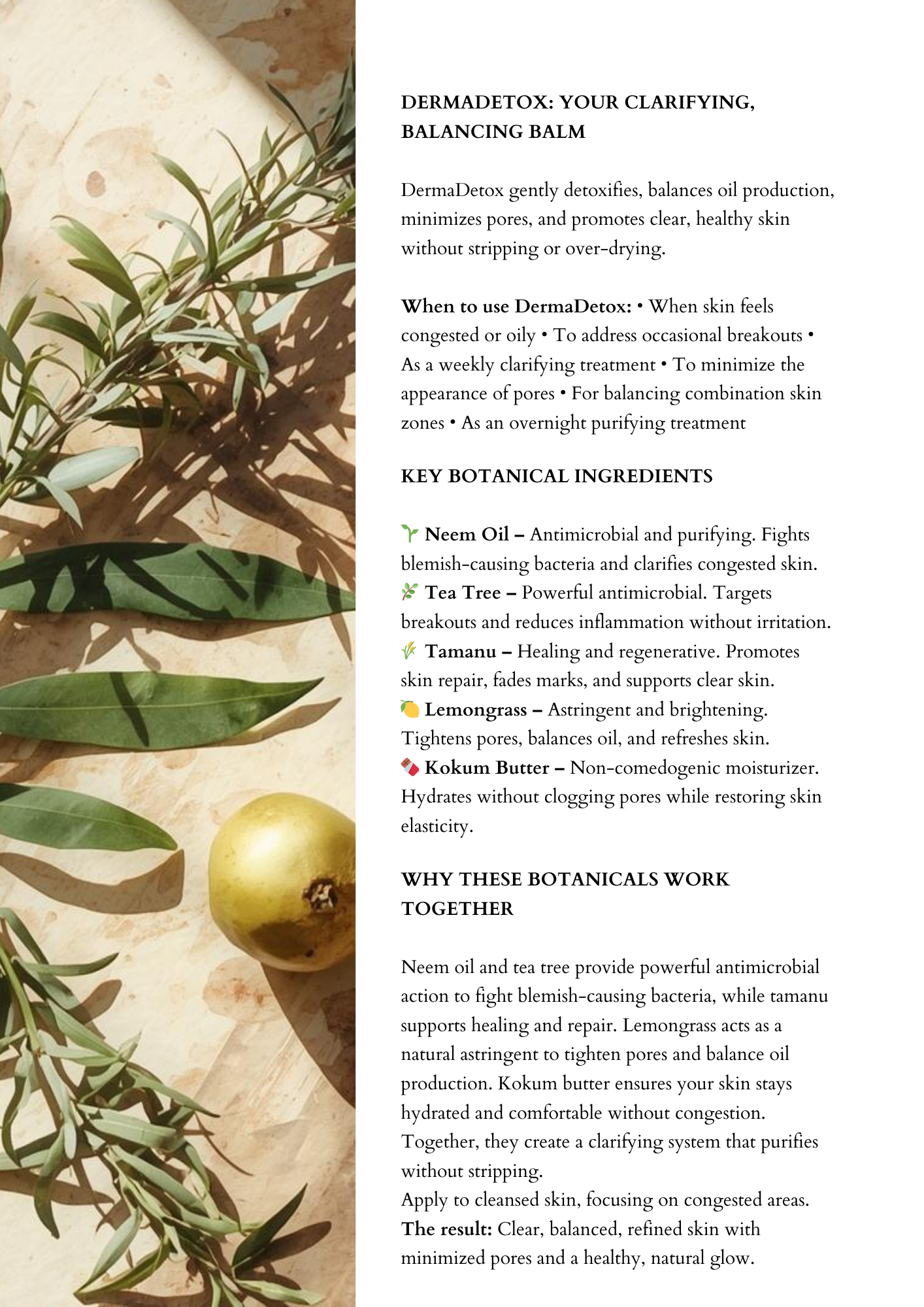 Botanical Wellness Guide: Skin Health & Clarifying Care Education